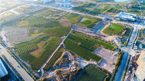 海南产业用地政策图标