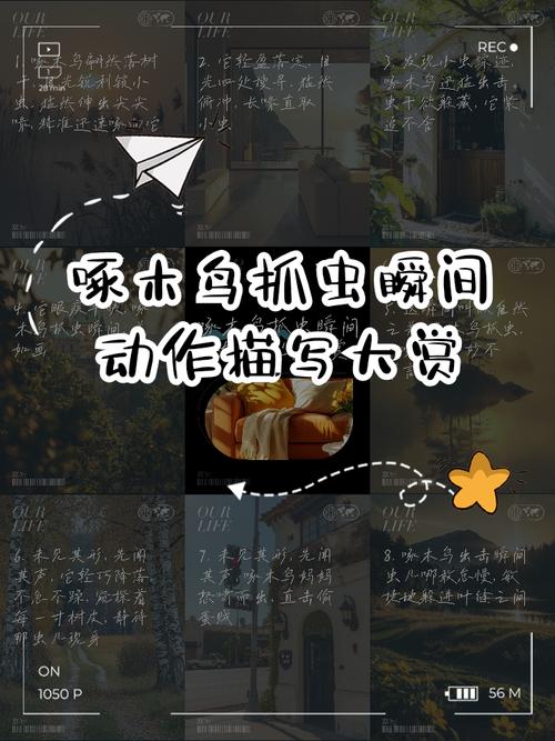 啄木鸟在捉虫子比喻句