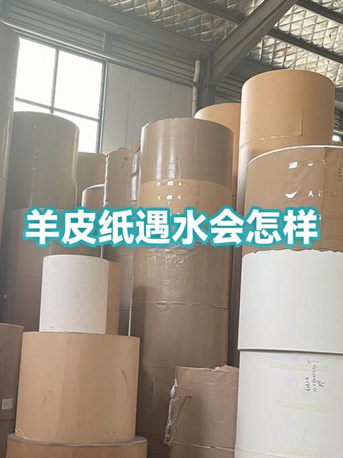 纸沾水了怎么恢复
