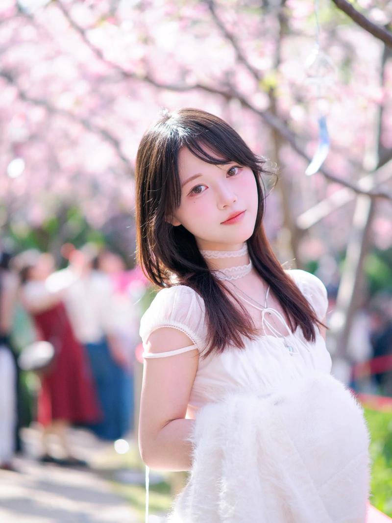适合女生养的猫