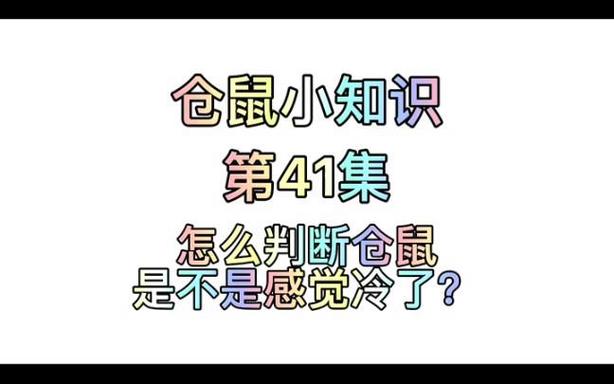 如何判断仓鼠冷不冷