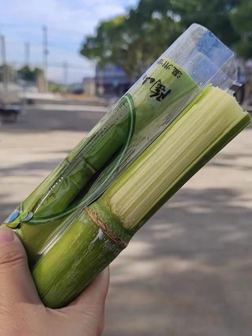 水果甘蔗种植全过程