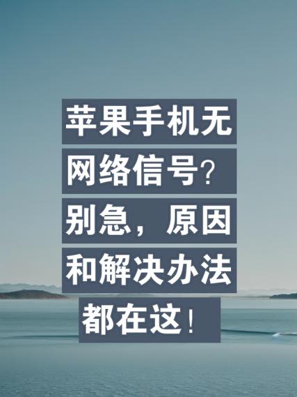 手机没有网络信号是怎么回事