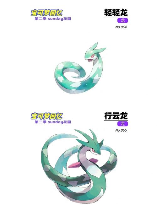 口袋妖怪云龙一破解版