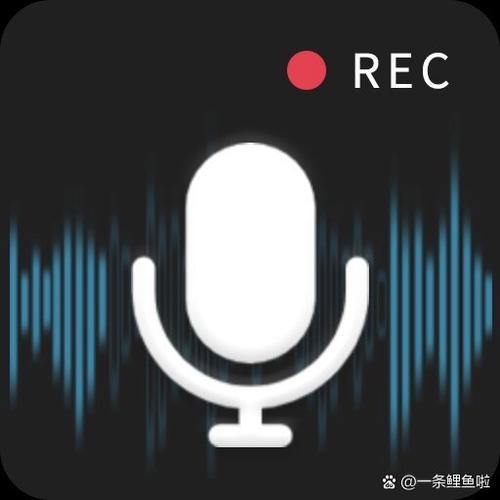 电话录音app图标