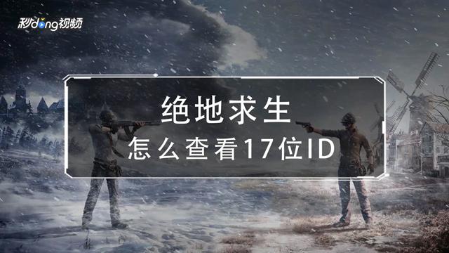 吃鸡id在哪看