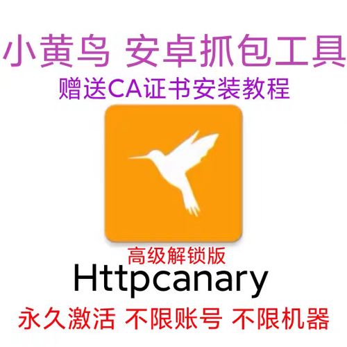 抓包工具