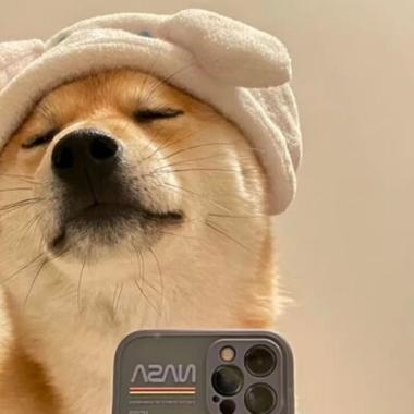 沙雕群头像图片