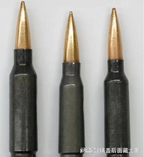新型步枪用什么子弹图标