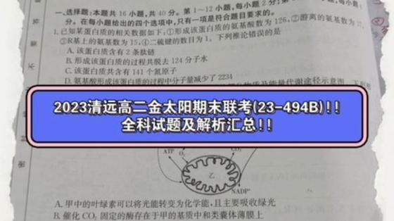 金太阳高二期末