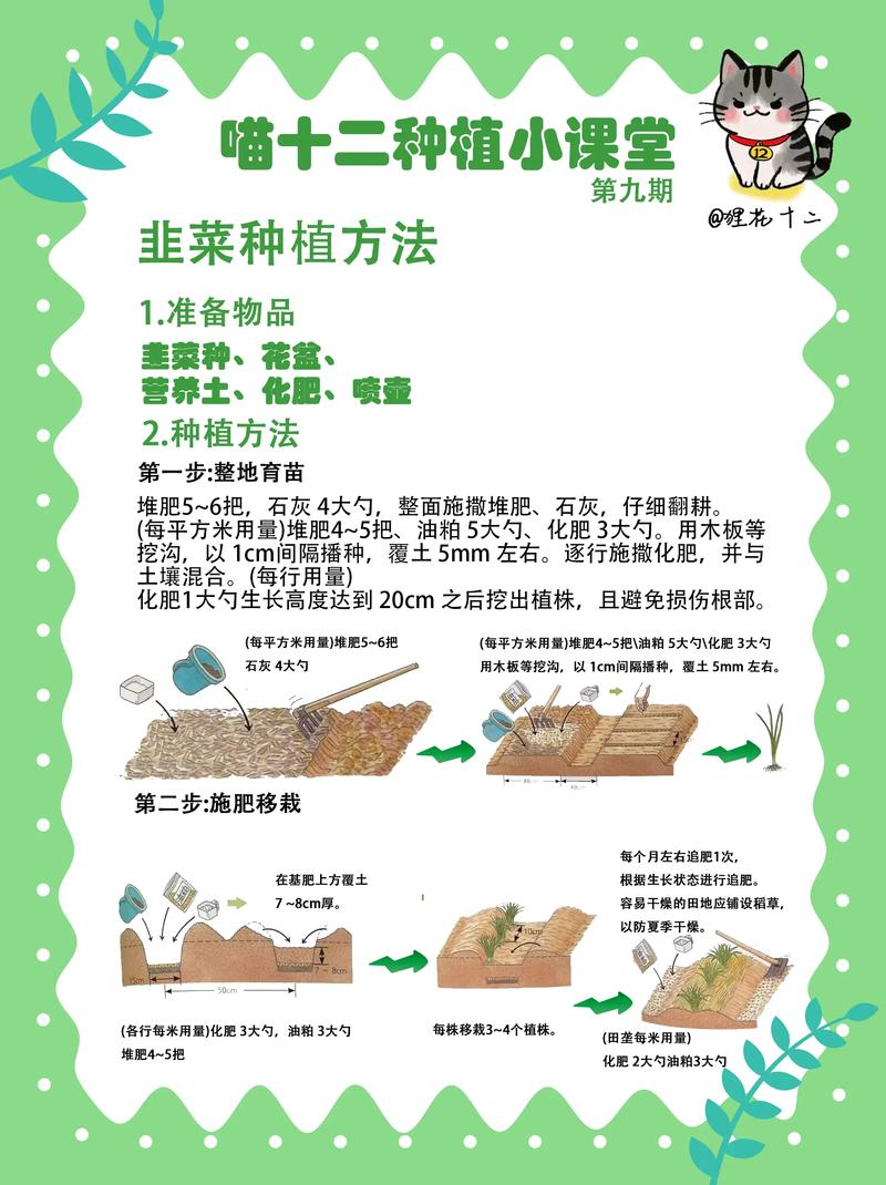 韭菜种植管理技术