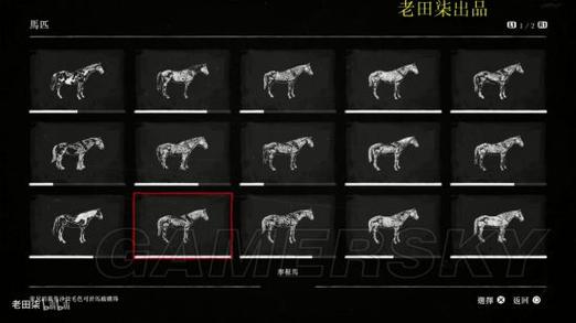荒野大镖客2全马匹