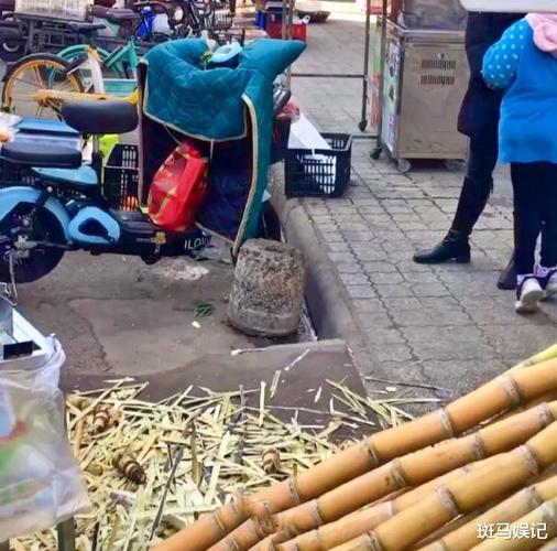 卖甘蔗的哑巴图标