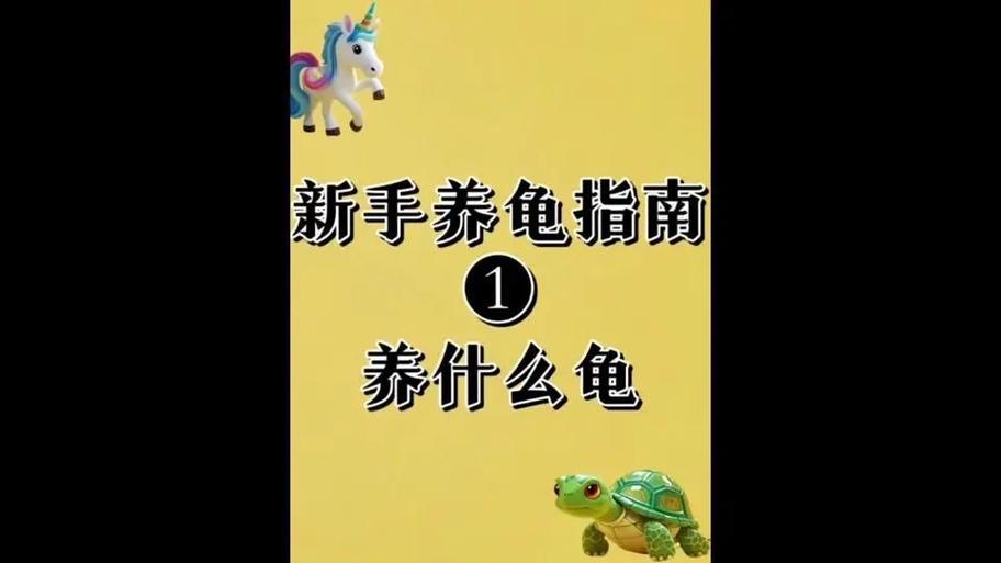 新手养龟的方法图标