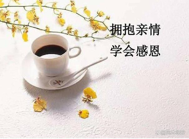 珍爱网父母牵线平台官网