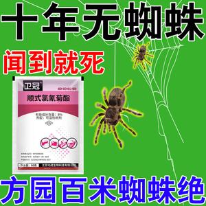 杀死蜘蛛的特效药图标