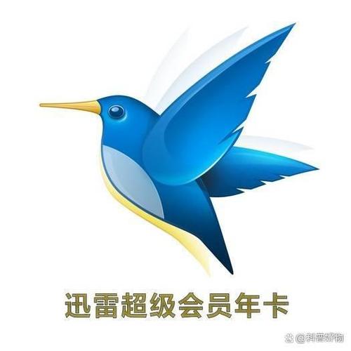 迅雷会员下载越来越慢