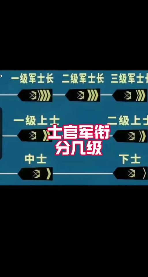 军士和士官职责对比