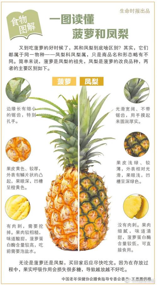 凤梨和菠萝有啥区别