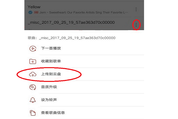 苹果怎么把网易云音乐导入本地音乐