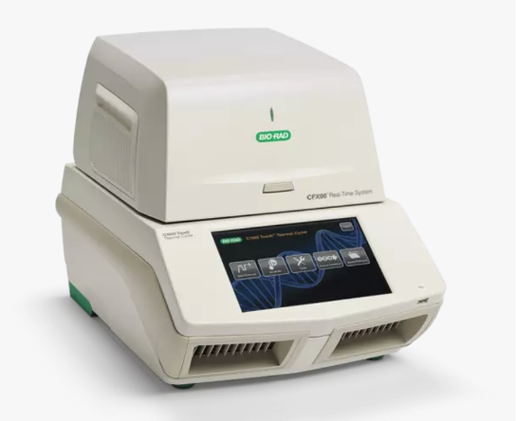 PT—PCR