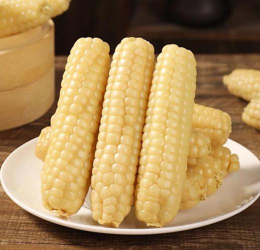 拇指玉米十大名牌排名