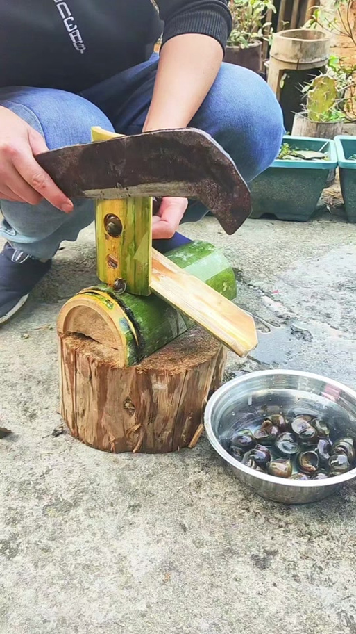 捞田螺的工具