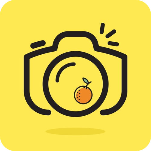 camera文件可以删除吗