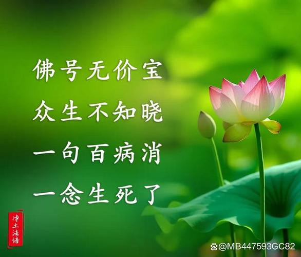 一句佛号成佛有余