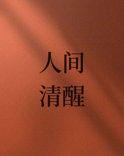 人间清醒的经典语录