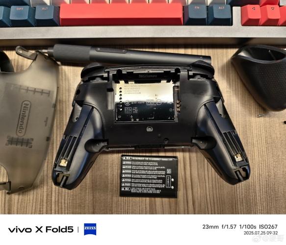 switchpro充不了电图标