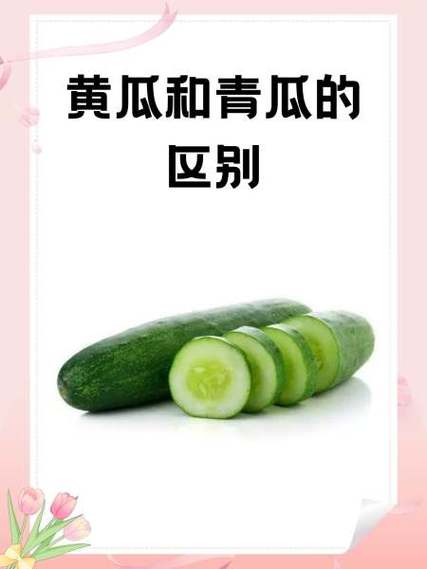 青瓜短视频