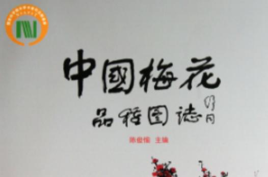 中国梅花书籍图标