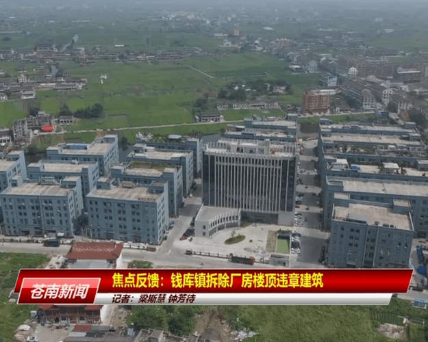 钱库新闻最新新闻