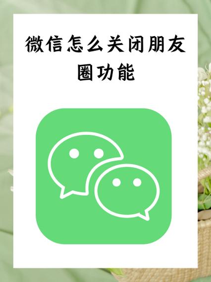 wm圈是什么app