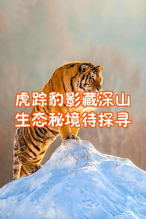 中国还有多少老虎图标