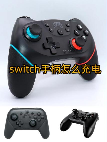 ns手柄怎么知道充满电