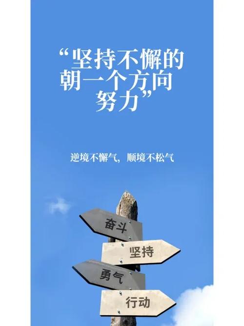 献给正在努力的你
