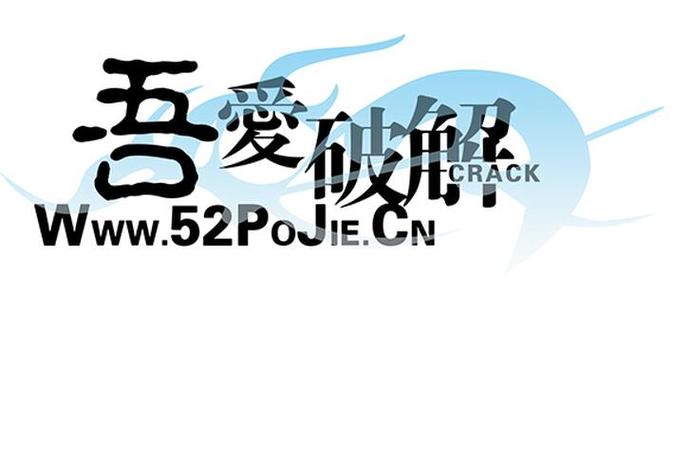 吾爱破解pdf