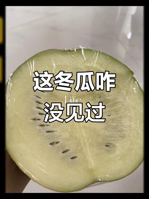 冬瓜短视频