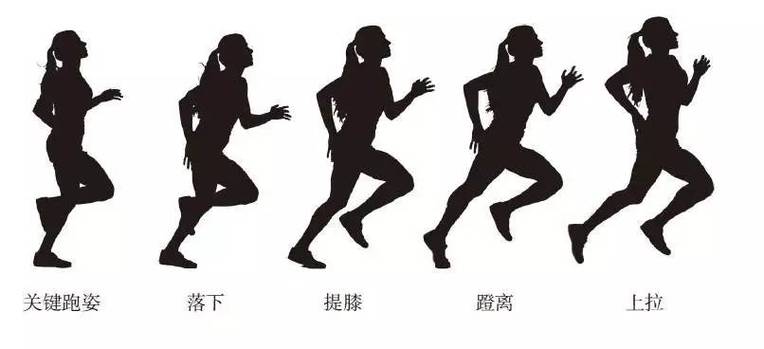 驻跑和畅跑区别是什么