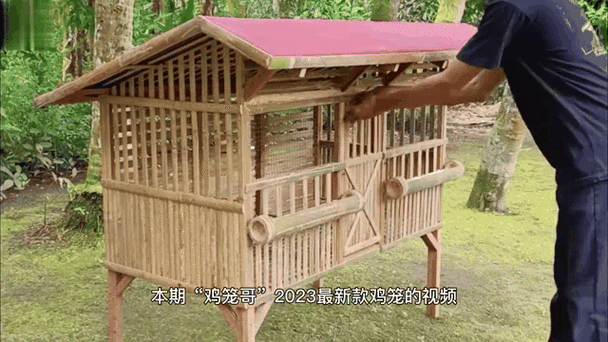 如何自建鸡窝图标