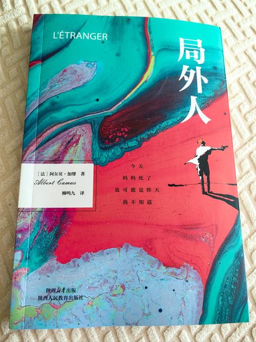 朝小诚的作品局外人