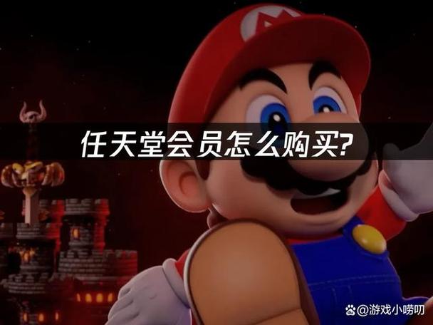 switch怎么开会员教程