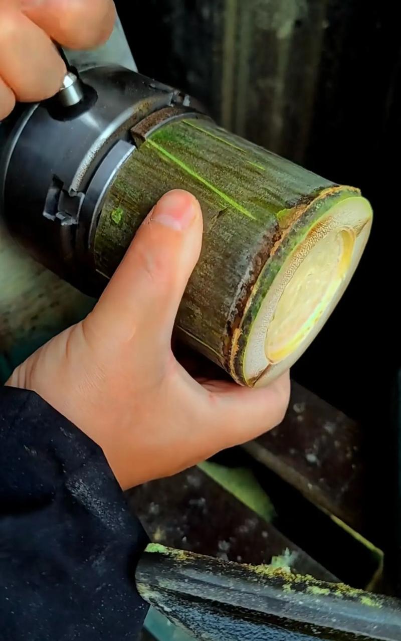 竹子种植技术与管理