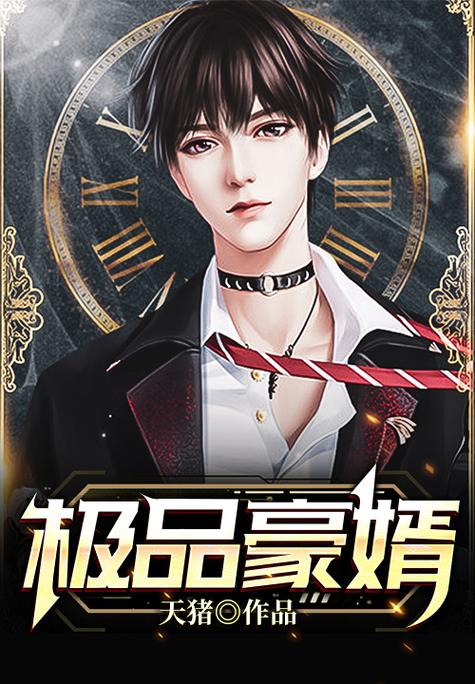 君夜无眠作品绝品豪婿图标