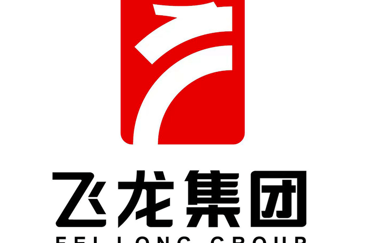 飞龙股份是龙头吗