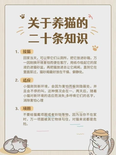 养猫知识和注意事项图标