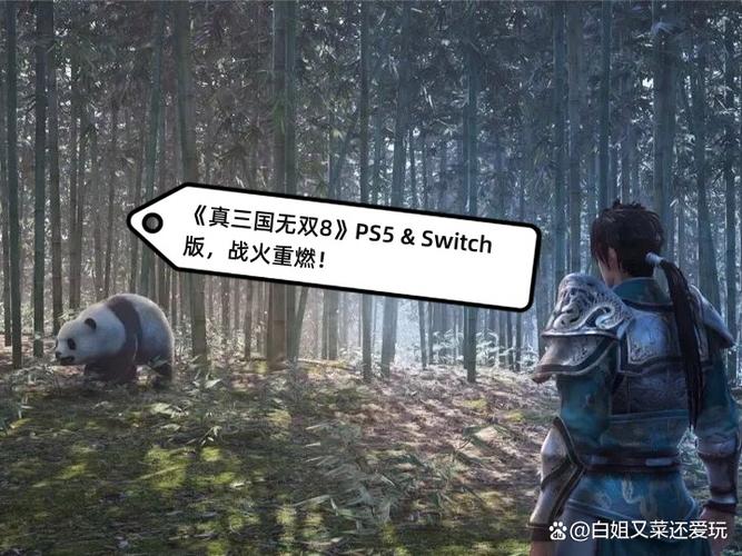 ps5真三国无双8进不了游戏