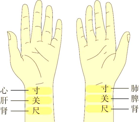 天刀门活脉法有什么用